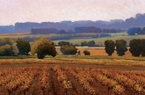 Framed Terroir Print