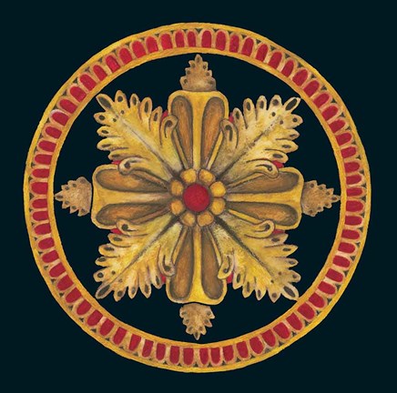 Framed Rosette II Print