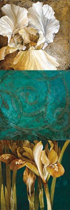 Framed From My Garden II Print