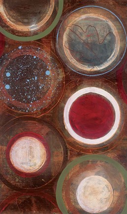 Framed Nature&#39;s Spheres II Print