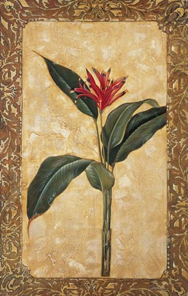 Framed Tropical Daydream II Print