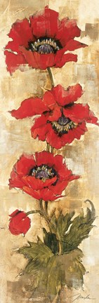 Framed Strand of Poppies II Print