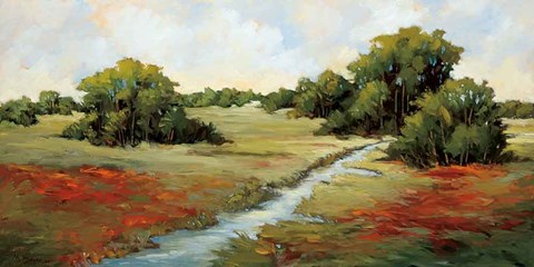 Framed Kissimmee Grasslands Print