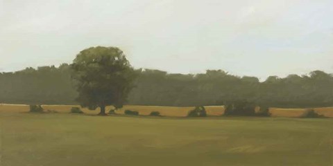 Framed Resting Place Print