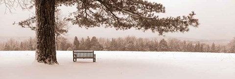 Framed First Snow II Print