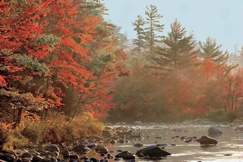 Framed Foggy River Print