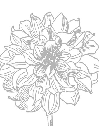 Framed Florette III Print