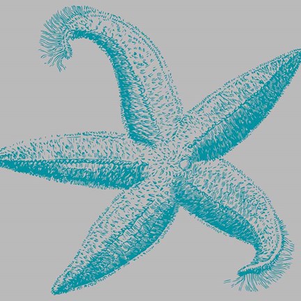 Framed Sea Stars I Print