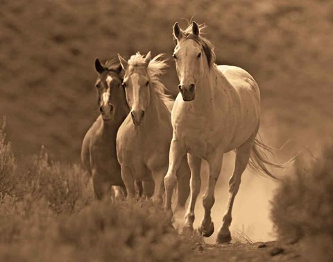 Framed Rangers Print