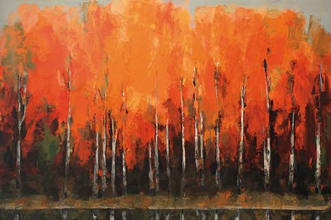 Framed Birch Shoreline Print