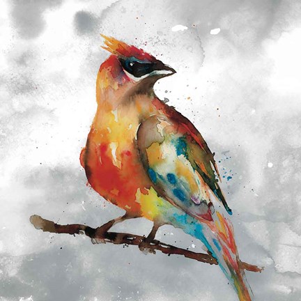 Framed Cardinal Print