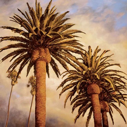 Framed Fog Over Canary Palms Print