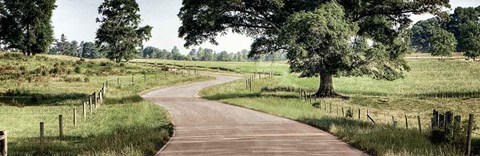 Framed Path to a Perfect Place Print