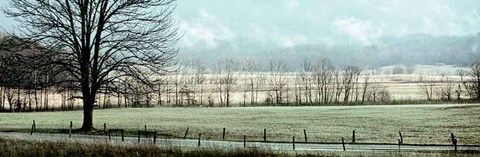 Framed Splendor Print