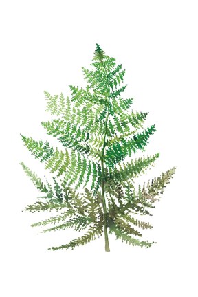 Framed Wild Greens I Print