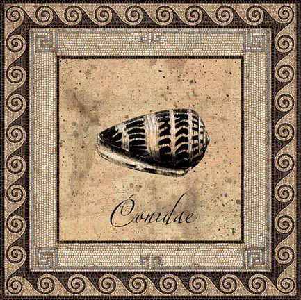 Framed Shell Works I Print