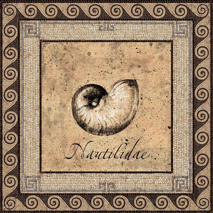 Framed Shell Works III Print