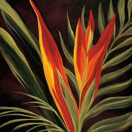 Framed Birds of Paradise II Print