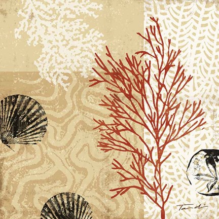 Framed Coral Impressions II Print