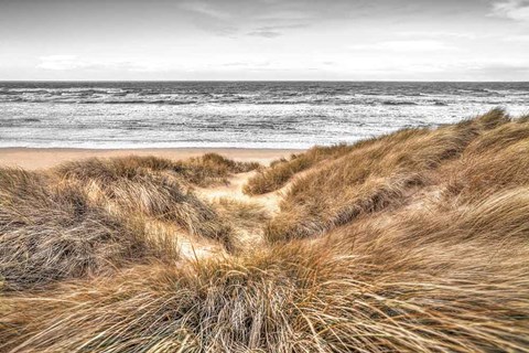 Framed Beach Dunes Print