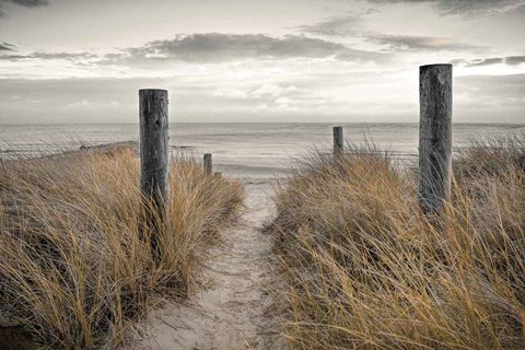 Framed Beach Day Print