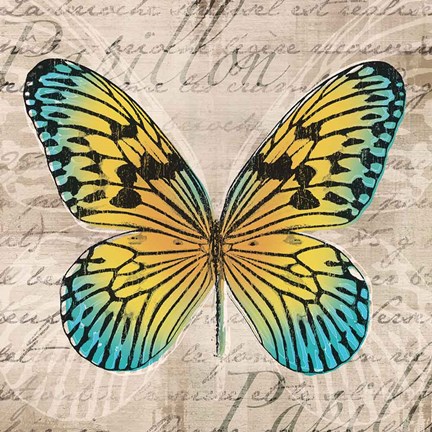 Framed Butterflies I Print