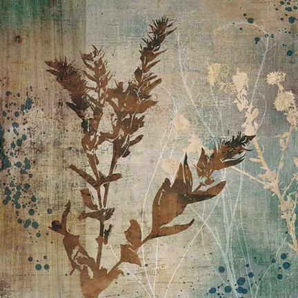 Framed Organic Elements II Print