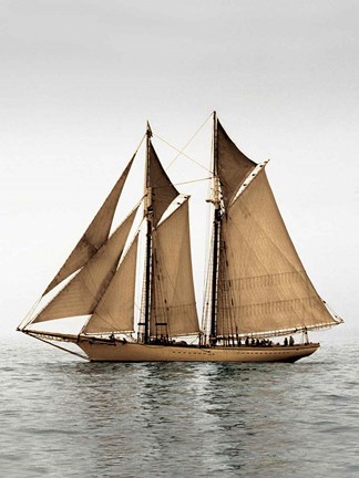 Framed Mystic Journey I Print