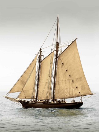 Framed Mystic Journey II Print