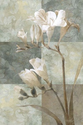 Framed Memento II Print