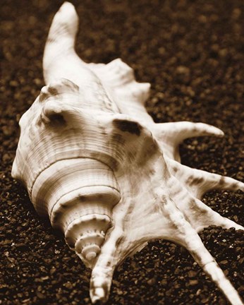 Framed Sea Gallery I Print