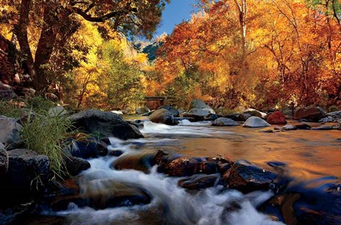 Framed River Of Gold Print