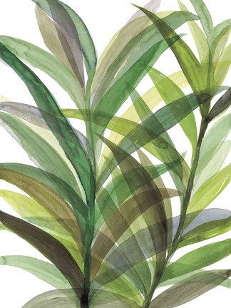 Framed Tropical Greens II Print
