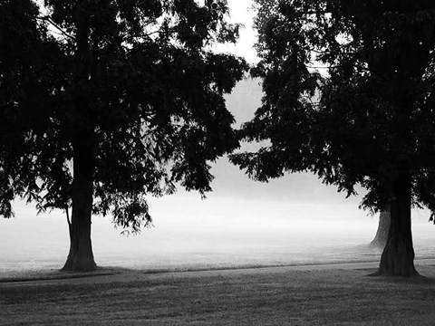 Framed Fog in the Park II Print