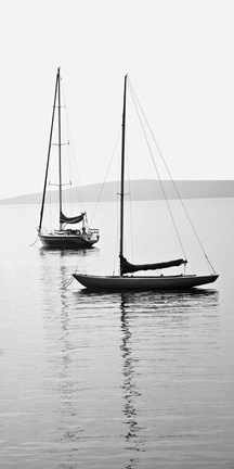 Framed Still Waters II Print