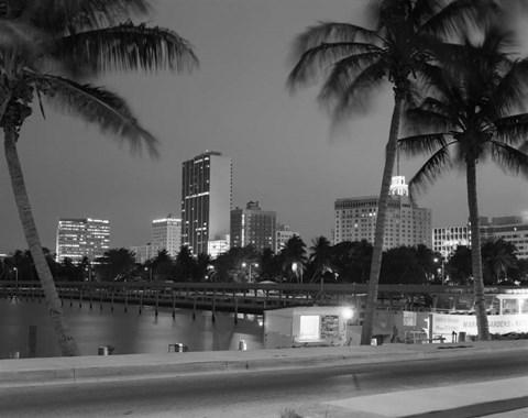 Framed Night View Skyline With Palm Trees Miami Florida Print