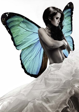 Framed Winged Beauty #1 (detail) Print