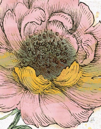 Framed Blossom Sketches III Pink Crop Print