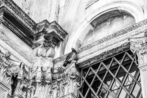 Framed Looking Up Print