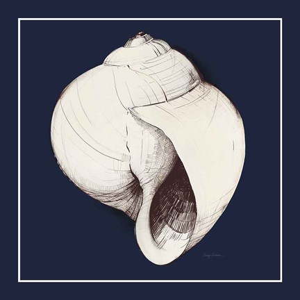 Framed Coastal Shell I with Border Navy Print