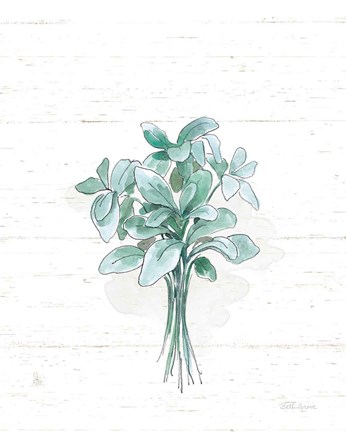 Framed Farmhouse Cotton VI No Words Print