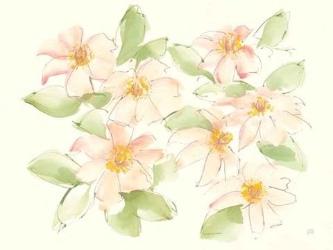Framed Creme Clematis Print