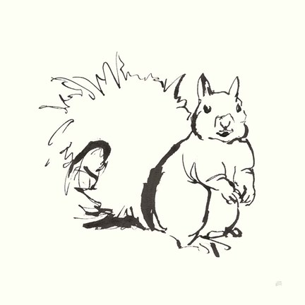 Framed Line Squirrel Print