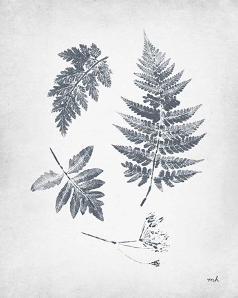 Framed Walk in the Woods II Print