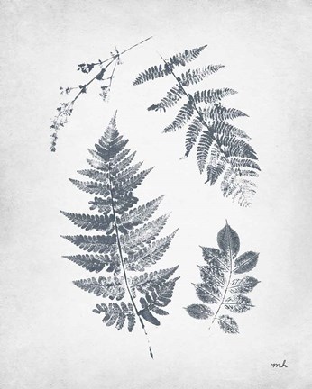 Framed Walk in the Woods I Print