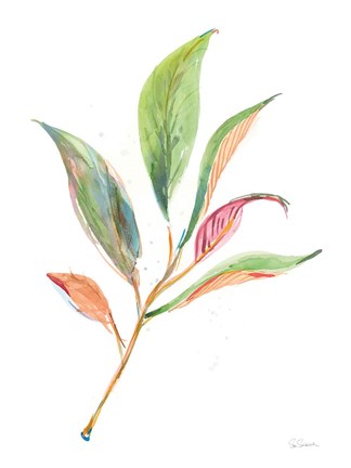 Framed Washy Leaves II Print