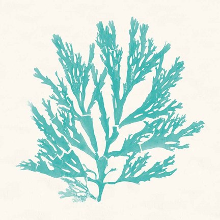 Framed Pacific Sea Mosses I Aqua Print