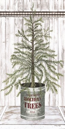 Framed Galvanized Pot Pine Print