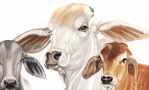 Framed Ranch Life Print