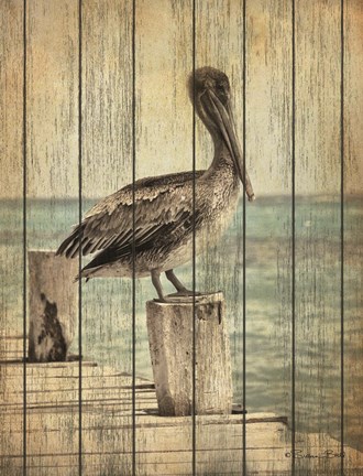 Framed Vintage Pelican I Print